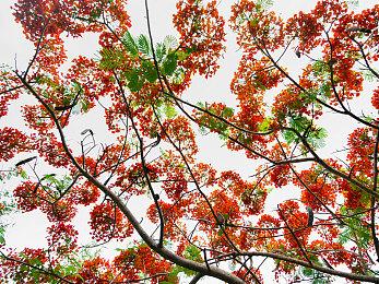 《上古卷轴OL》官方简体中文将于年底上线