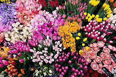 《史诗奇幻战斗模拟器》8月31日登陆Steam抢先体验